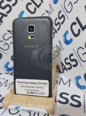 Samsung Galaxy S5 mini