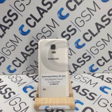 Samsung Galaxy S5 mini